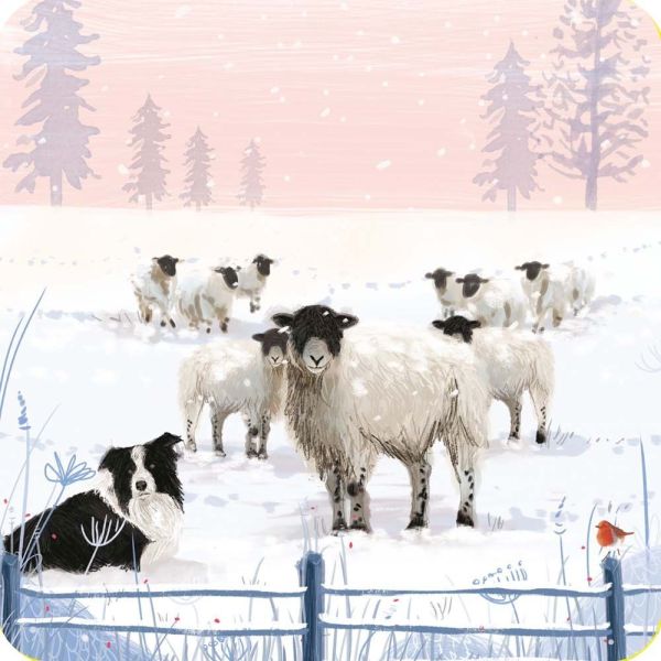 Luxury Charity Christmas Cards - Flock of Sheep - Pack of 10